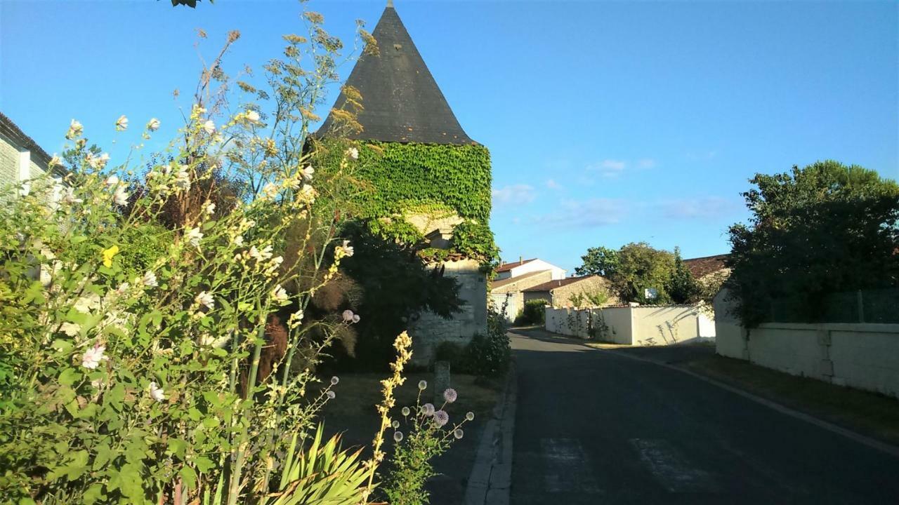 Les Gites Du Vigneron Et Cd'H Saint-Seurin-de-Palenne Exteriér fotografie