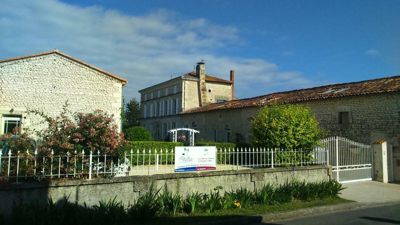 Les Gites Du Vigneron Et Cd'H Saint-Seurin-de-Palenne Exteriér fotografie